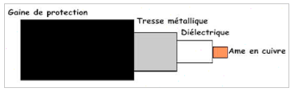 mediasbnc.png mediasbnc.png