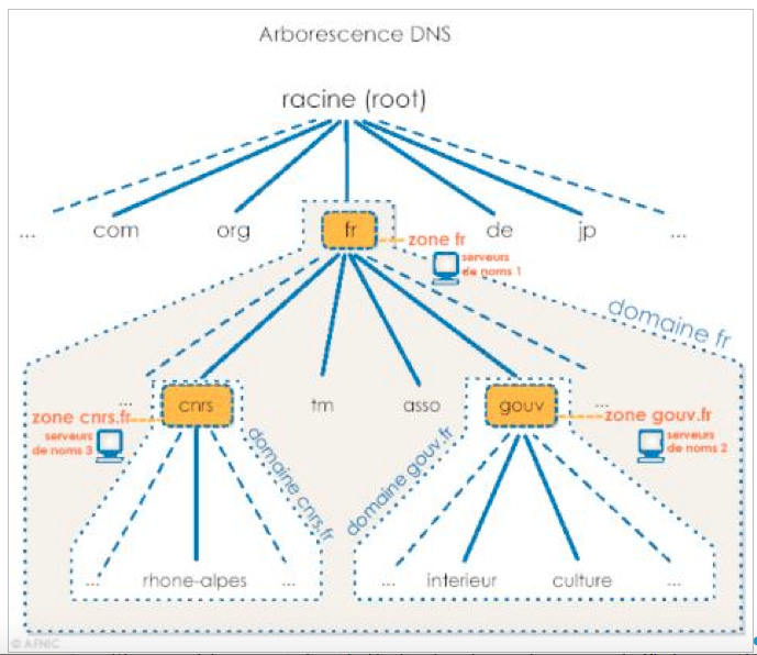 dnsarbo.png dnsarbo.png