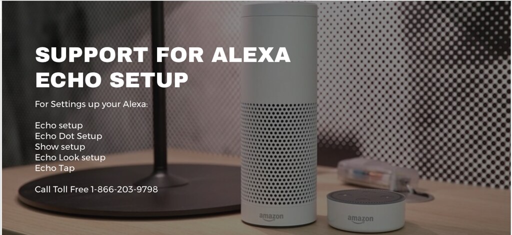 37404090974_e95fcef12a_b.jpg 37404090974_e95fcef12a_b.jpg