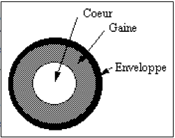 mediasfibre.png